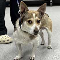 Thumbnail photo of Elf #1