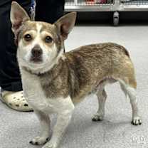 Thumbnail photo of Elf #2