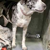 Thumbnail photo of Damion in CT #2