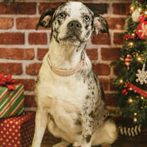 Thumbnail photo of Damion in CT #1