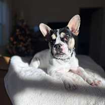 Thumbnail photo of Grace #1