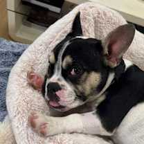 Thumbnail photo of Grace #2