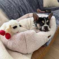 Thumbnail photo of Grace #3