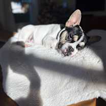 Thumbnail photo of Grace #4