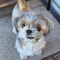 Thumbnail photo of LilBit #3