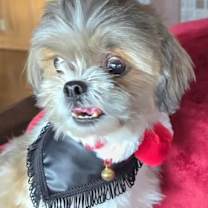 Thumbnail photo of LilBit #1