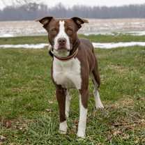 Thumbnail photo of Carson #1