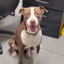 Thumbnail photo of Carson #2