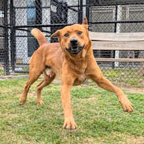 Thumbnail photo of rudy #3