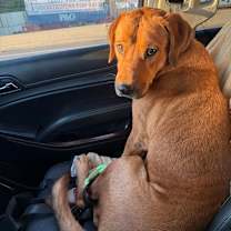 Thumbnail photo of rudy #4