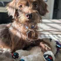 Thumbnail photo of Turkey #3