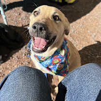 Thumbnail photo of Freddie #4