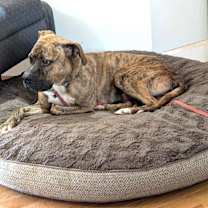 Thumbnail photo of SHADOW #2