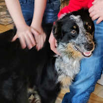 Thumbnail photo of Poppi #1