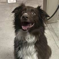 Thumbnail photo of MOANA #1