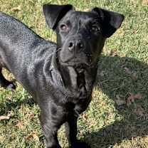 Thumbnail photo of Happy #2