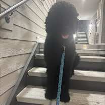 Thumbnail photo of Miles #1