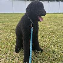 Thumbnail photo of Miles #3