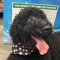 Thumbnail photo of Miles #4