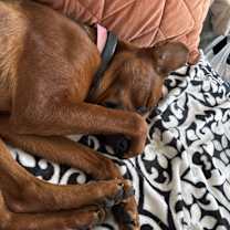 Thumbnail photo of Bria #4