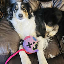 Thumbnail photo of Dunky #1