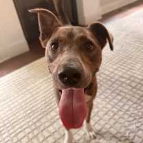 Thumbnail photo of Elliot #1