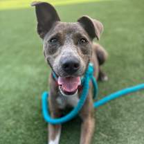 Thumbnail photo of Elliot #4