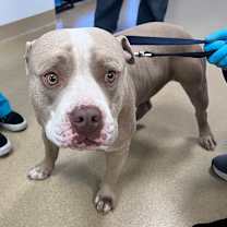 Thumbnail photo of Channing #2