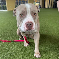 Thumbnail photo of Channing #3