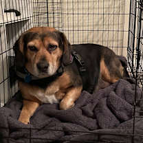 Thumbnail photo of Luna #2