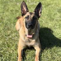 Thumbnail photo of Wilma #2