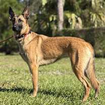 Thumbnail photo of Wilma #3