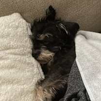 Thumbnail photo of Phillip #2