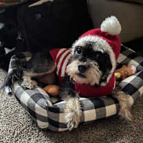 Thumbnail photo of Phillip #3