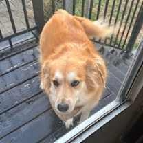 Thumbnail photo of Sweatie #3