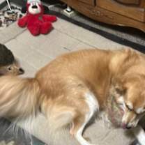 Thumbnail photo of Sweatie #4