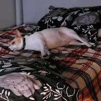 Thumbnail photo of Jackie #4