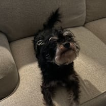 Thumbnail photo of Phillip #4