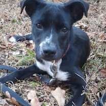 Thumbnail photo of Sarah #3