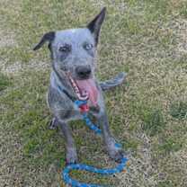 Thumbnail photo of MUFFIN #3