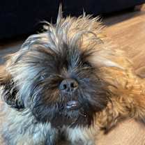 Thumbnail photo of Sammy #4