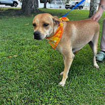 Thumbnail photo of Mia #1