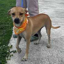 Thumbnail photo of Mia #3