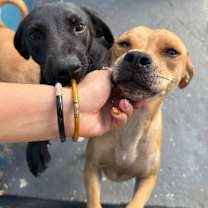 Thumbnail photo of Mia #4