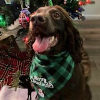 Thumbnail photo of Yogi Bear #1