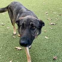 Thumbnail photo of Fable  #4