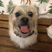 Thumbnail photo of Christie #1