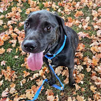 Thumbnail photo of Harry #1