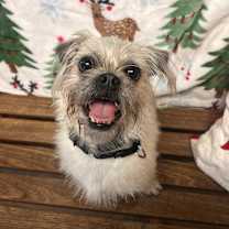 Thumbnail photo of Christie #3