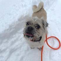 Thumbnail photo of Christie #4